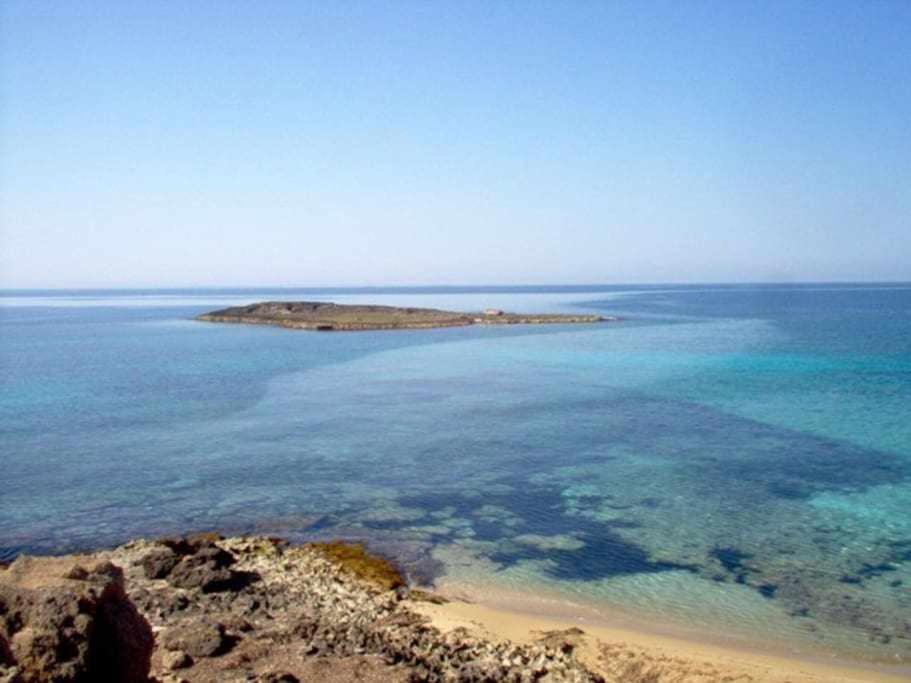 App Girasole 1A 300 Metri Dal Mare In Salento Lejlighed Torre San Giovanni Ugento Eksteriør billede